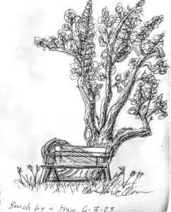 Aravada - bench by a tree sketch by Cambria Olsen